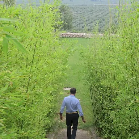 Di Luna Biomasseria *