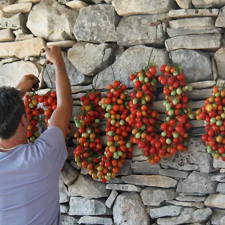 Di Luna Biomasseria *