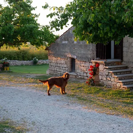 Di Luna Biomasseria * Montegrosso