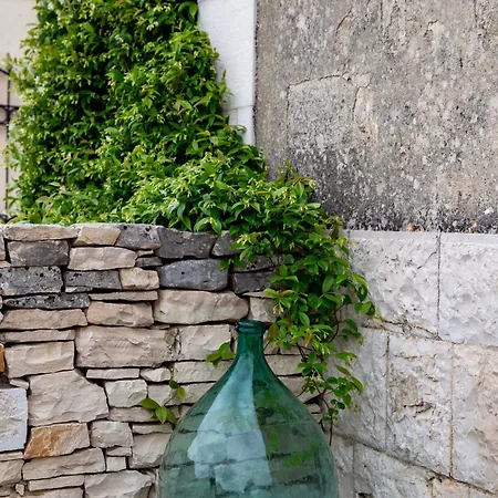 Di Luna Biomasseria Feriegård *