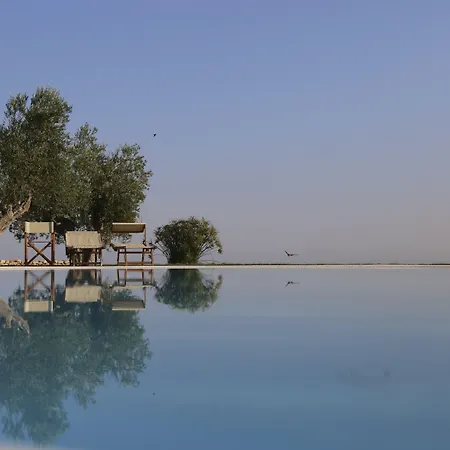 Di Luna Biomasseria *