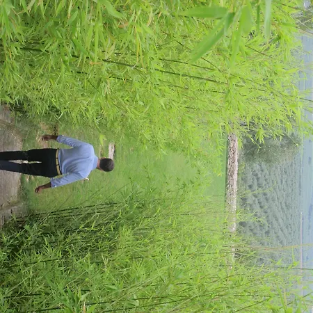 Di Luna Biomasseria Feriegård *