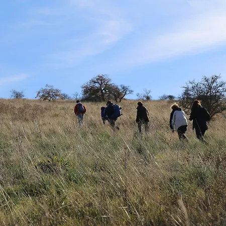 Di Luna Biomasseria Montegrosso